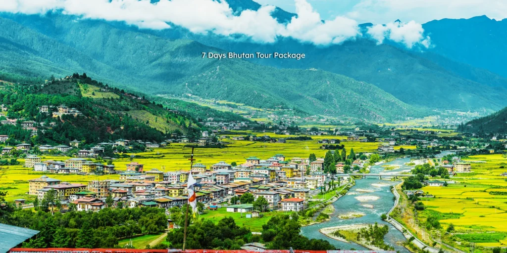 Panoramic view of Punakha Dzong with blooming jacaranda flowers for the Bhutan tour package from Chennai.