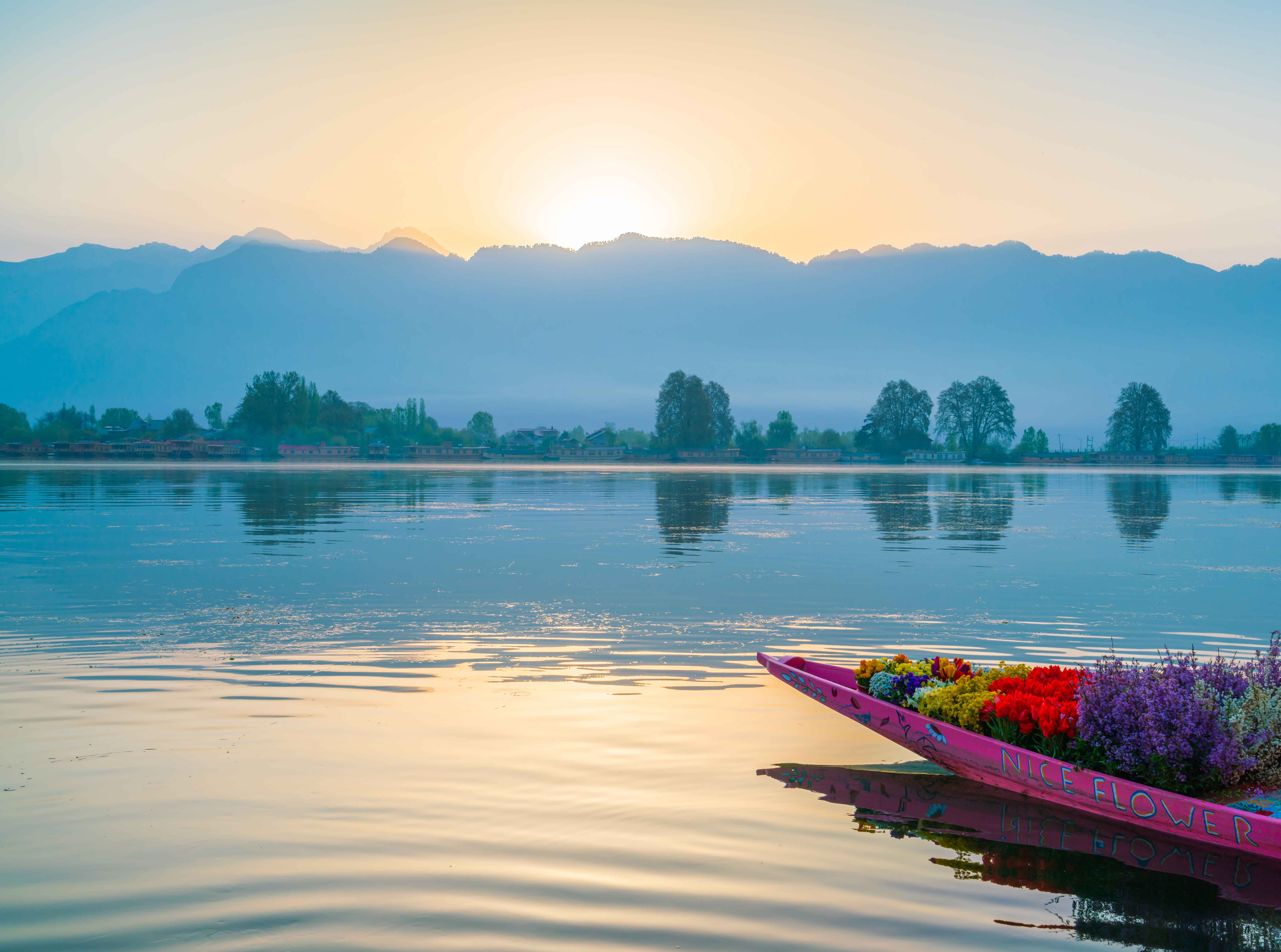 Floating phumdis of Loktak Lake