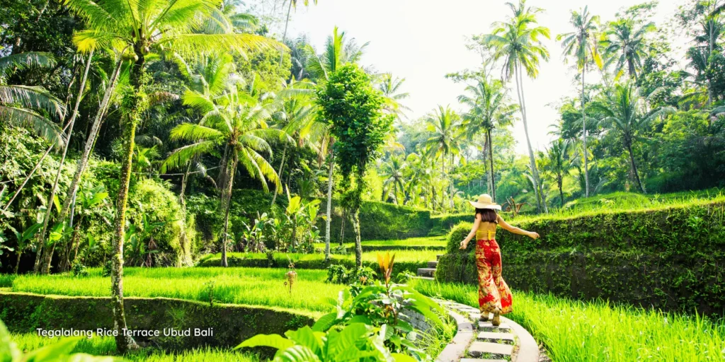 Lush green Tegalalang rice terraces in Ubud during the Bali cultural tour.