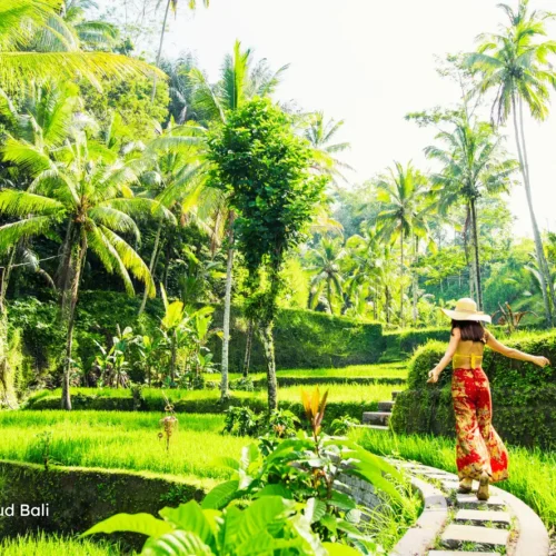 Lush green Tegalalang rice terraces in Ubud during the Bali cultural tour.