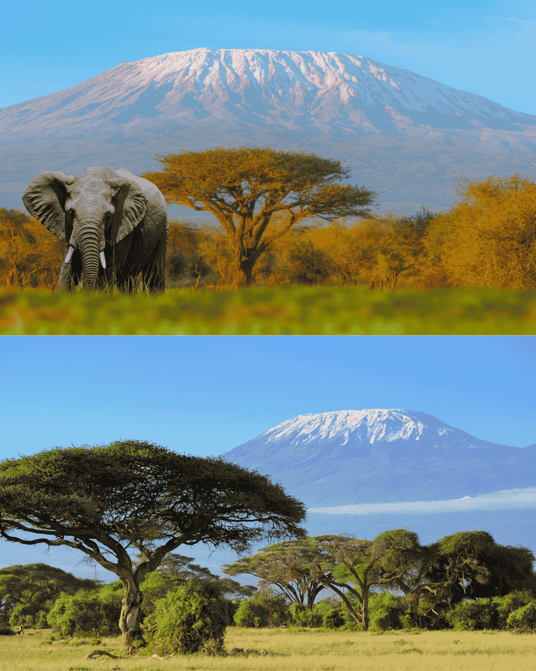Amboseli Mount Kilimanjaro View