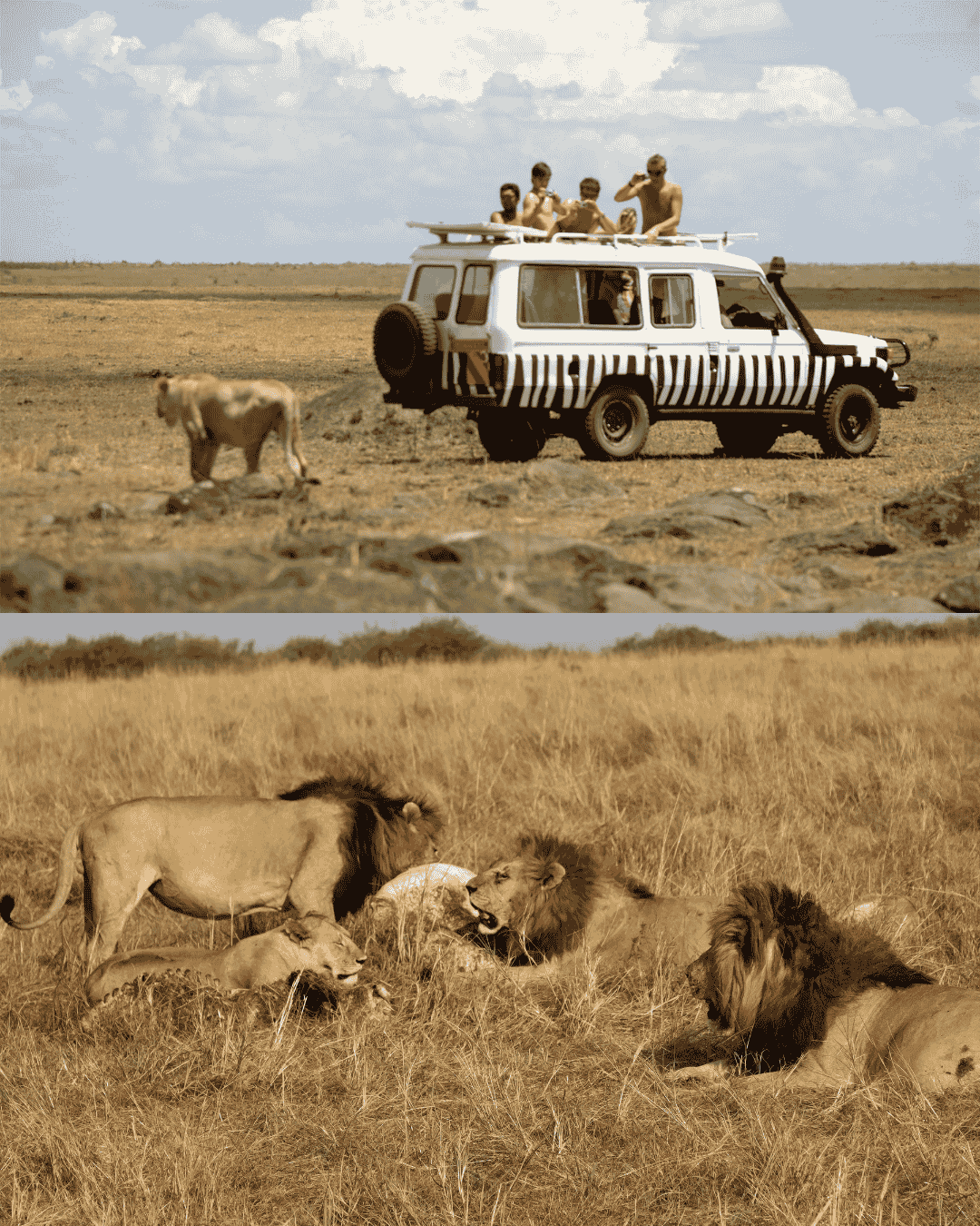 Masai Mara Safari Kenya