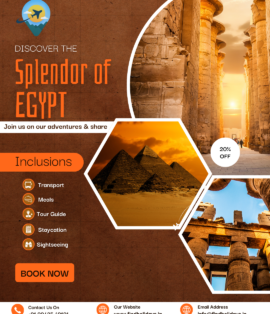 Egypt Tour from Chennai – Pyramids of Giza Travel Experience