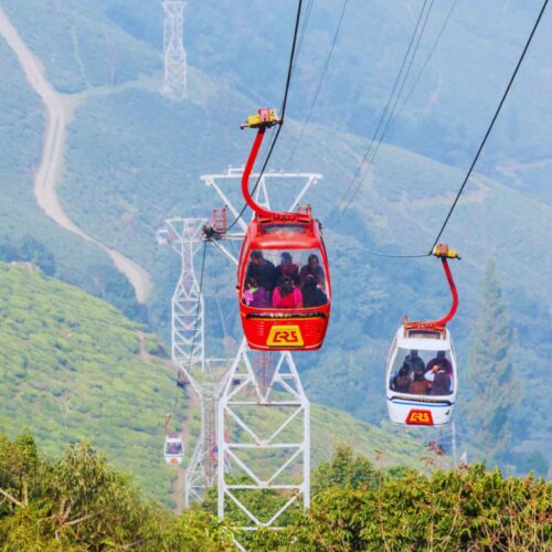 Darjeeling ropeway cable car ride with tea garden views