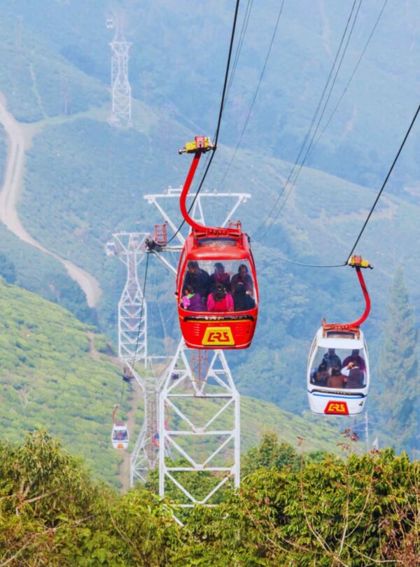 Darjeeling ropeway cable car ride with tea garden views