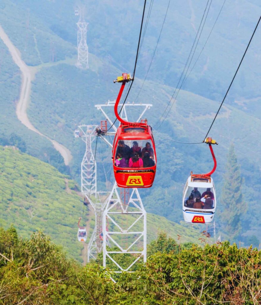 Darjeeling ropeway cable car ride with tea garden views