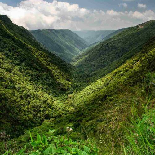 Beautiful hill view of Shillong in Meghalaya during North East India tour package