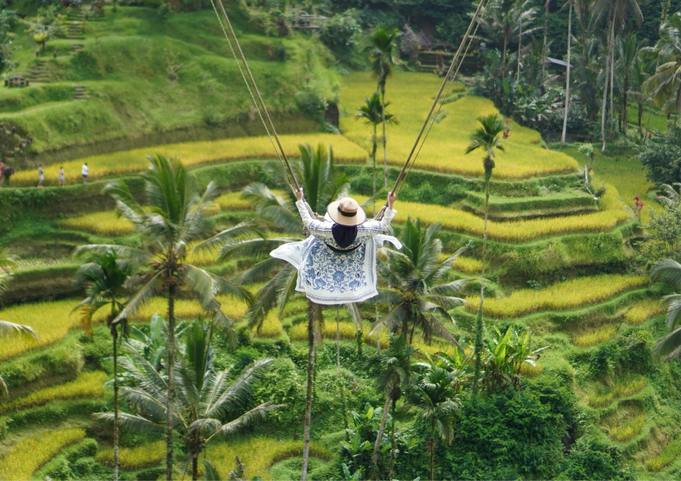 Ubud rice terraces in Bali with green landscapes and peaceful travel vibes