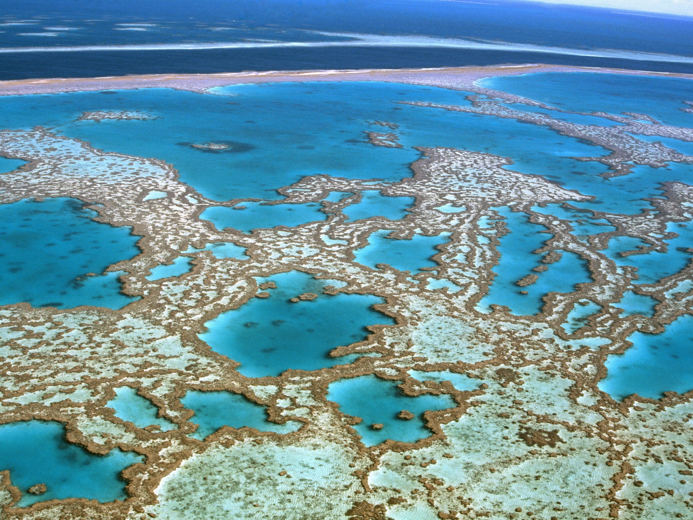 Great Barrier Reef near Cairns in tropical Australia