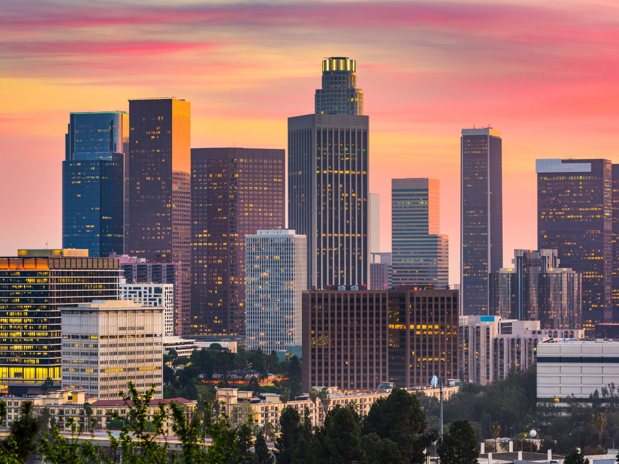 Los Angeles city skyline and palm trees