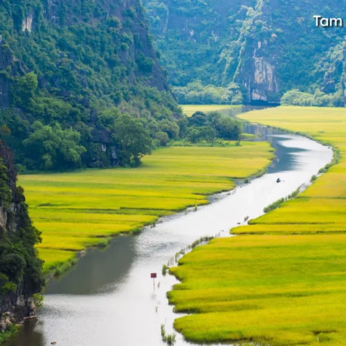 Peaceful boat ride through Tam Coc limestone caves and scenic rice fields.