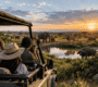 Three safari travelers viewing Africa's Big Five wildlife from a safari vehicle at sunset