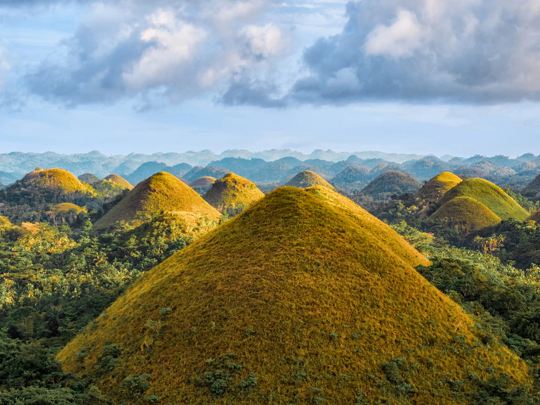 Green and brown cone-shaped Chocolate Hills across Bohol, Philippines