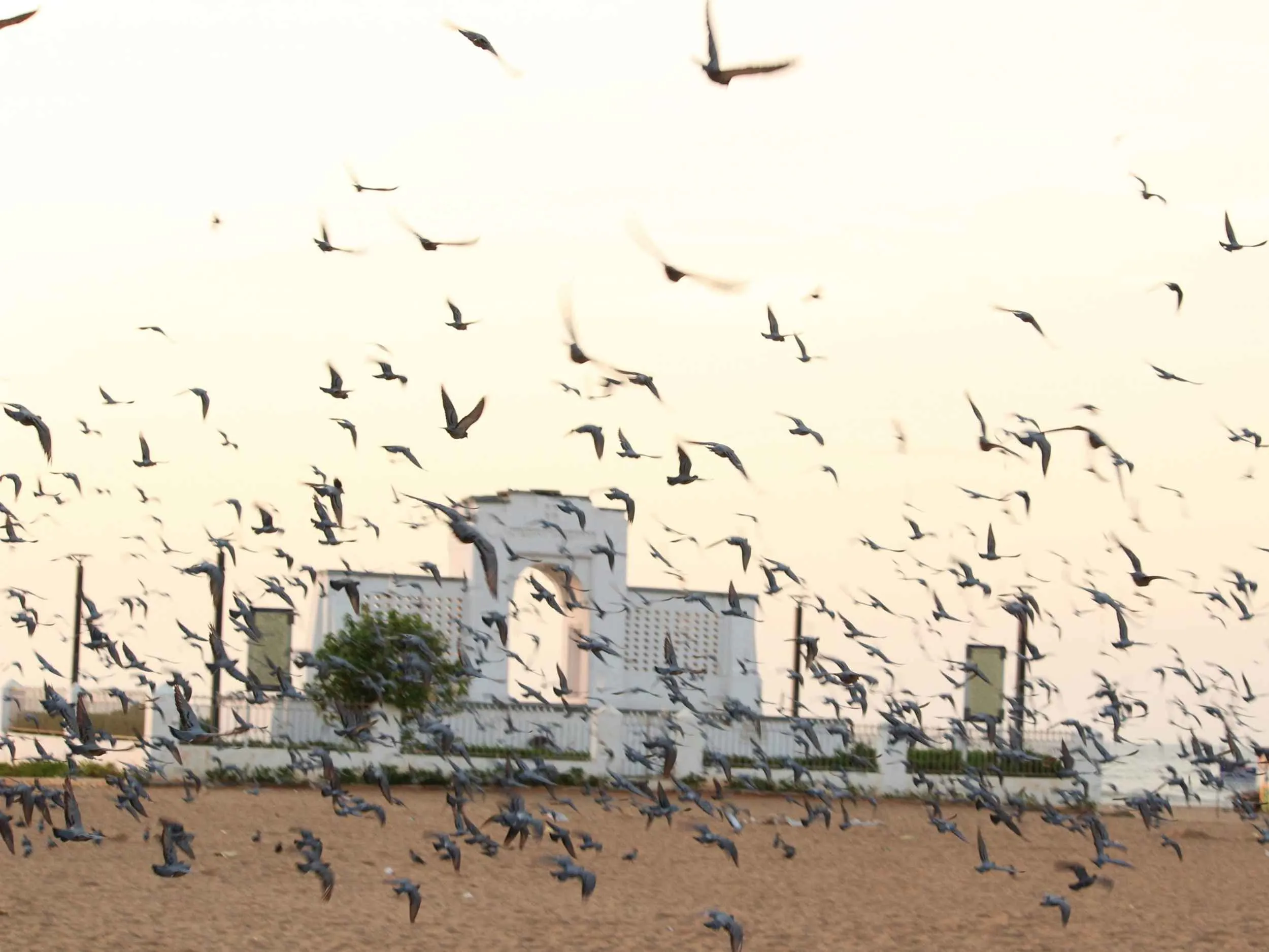 Calm shoreline and Karl Schmidt Memorial at Elliots Beach in Besant Nagar Chennai