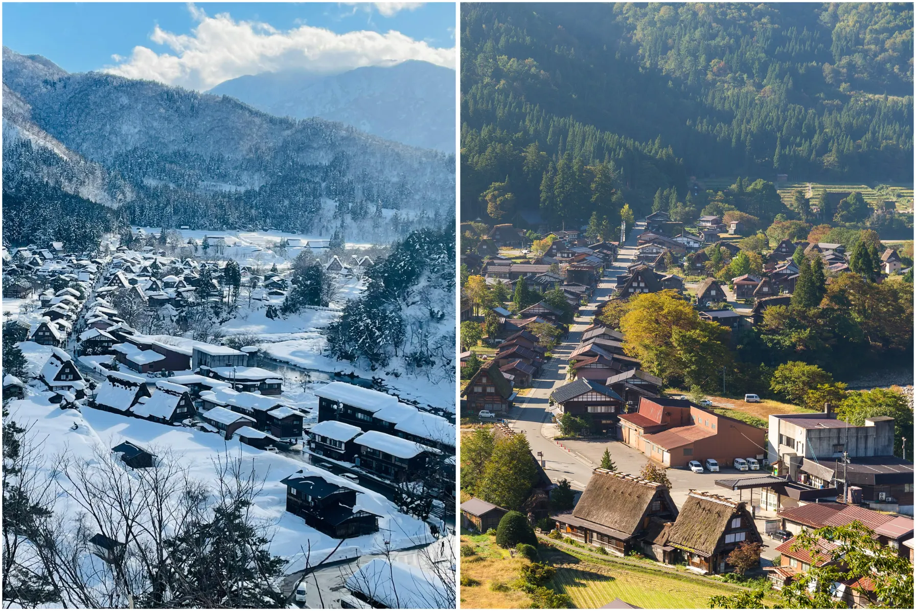Traditional Gassho-zukuri steeply pitched thatched roof farmhouses in UNESCO Shirakawa-go village in the Japanese Alps