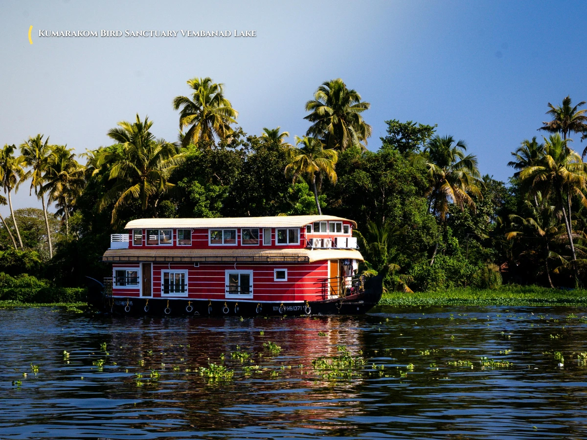 Migratory water birds and lush mangrove canals at Kumarakom Bird Sanctuary on the banks of Vembanad Lake Kerala