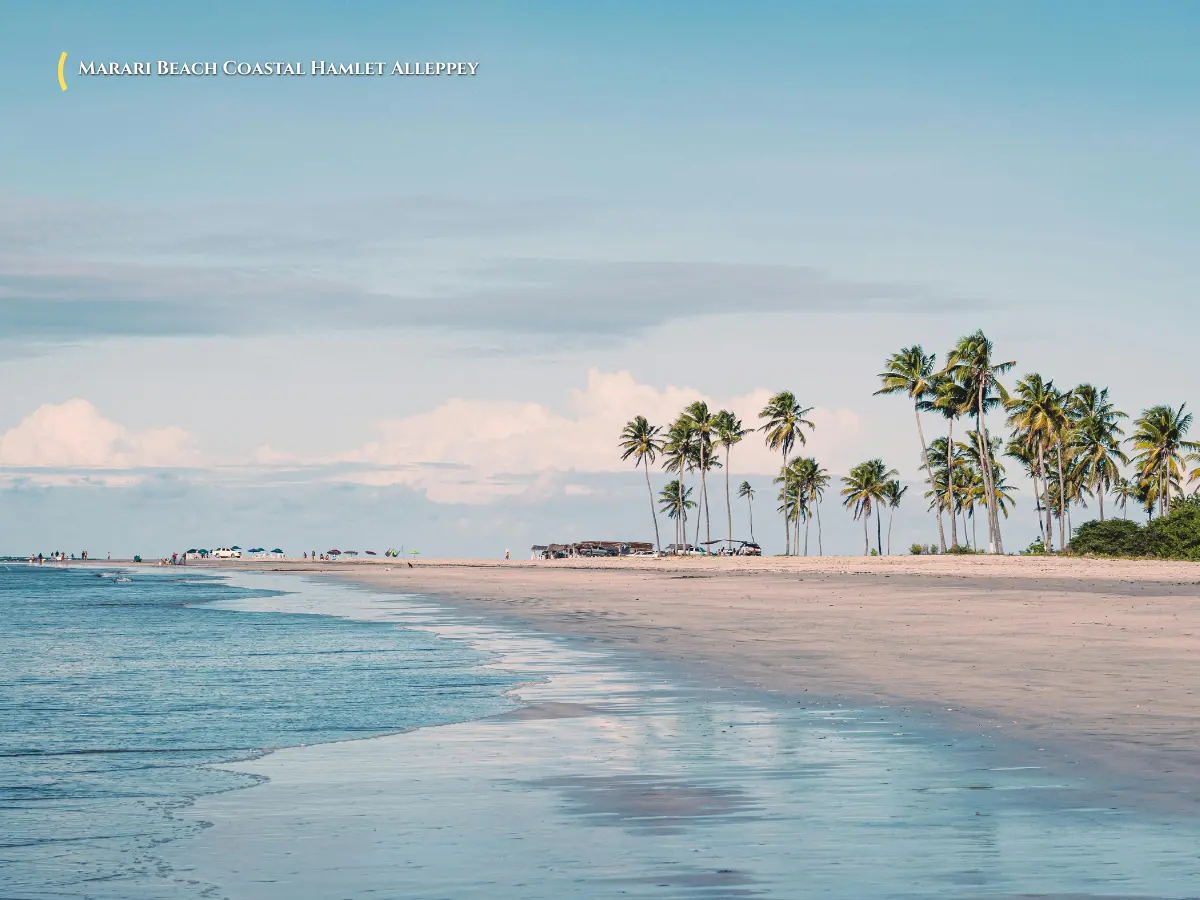 Untouched golden sand shoreline, swaying coconut groves, and fishing boats at Marari Beach near Alleppey Kerala