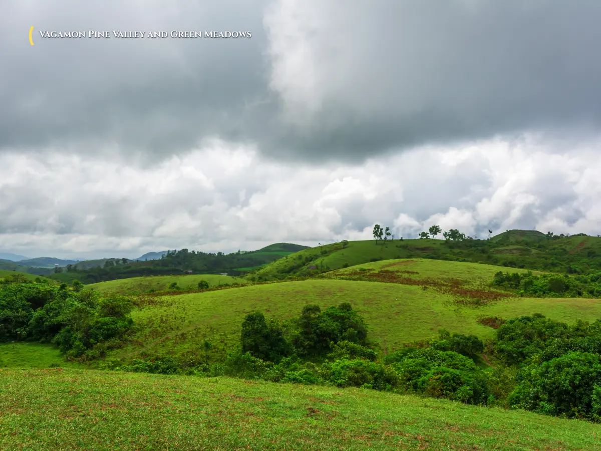 Rolling green grass meadows, pine valley trees, and misty cliffs in Vagamon Kerala