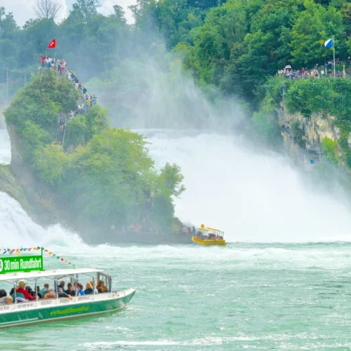 Powerful cascading waters of the Rhine Falls near Schaffhausen during a Zurich day trip.